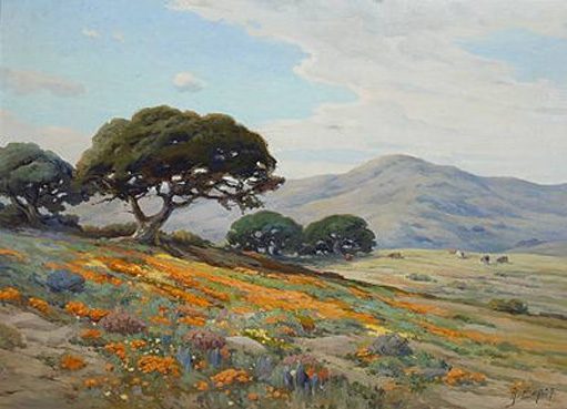 Angel Espoy California Lupines and Poppies